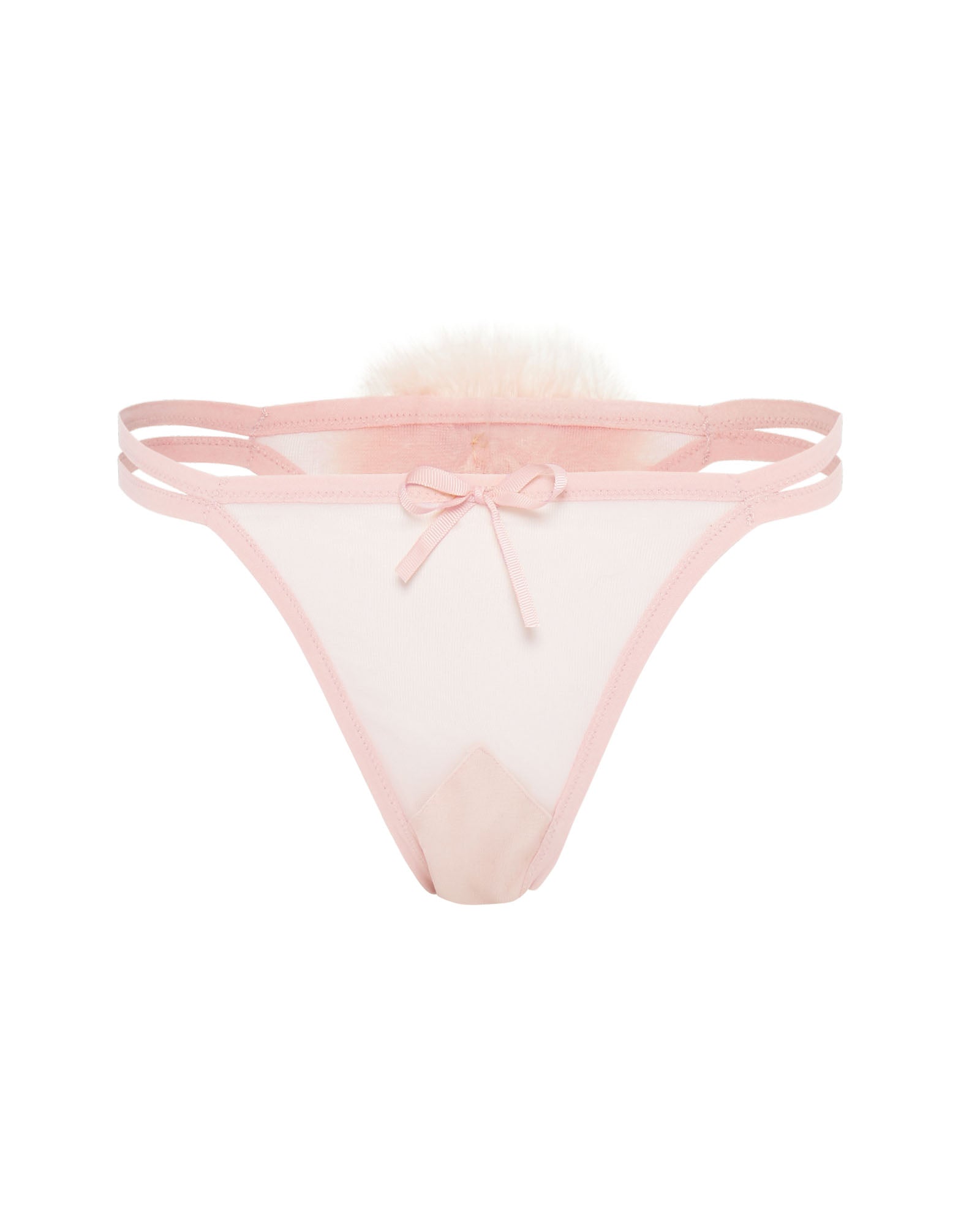 The Camellia G-String